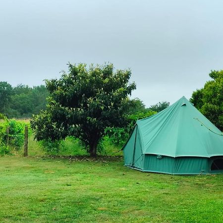 Quinta Da Teimosa Villa Monção Exteriör bild